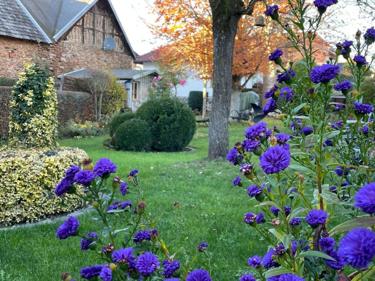 Haus-Hoeppches Blankenheim  Dış mekan fotoğraf